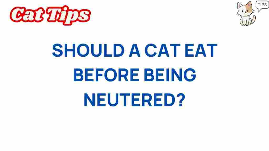 cat-health-feed-before-neutering