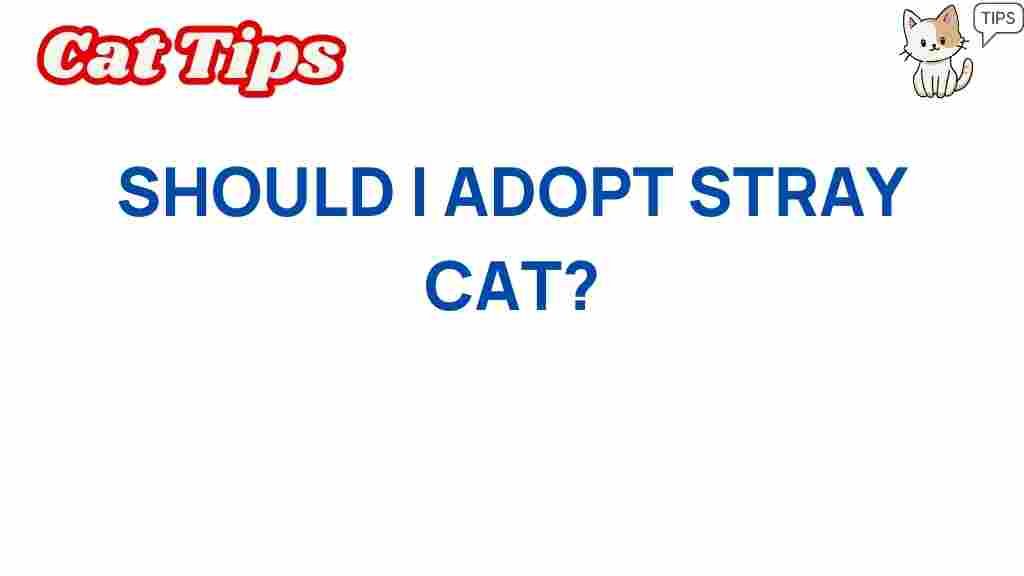 stray-cat-adoption-benefits