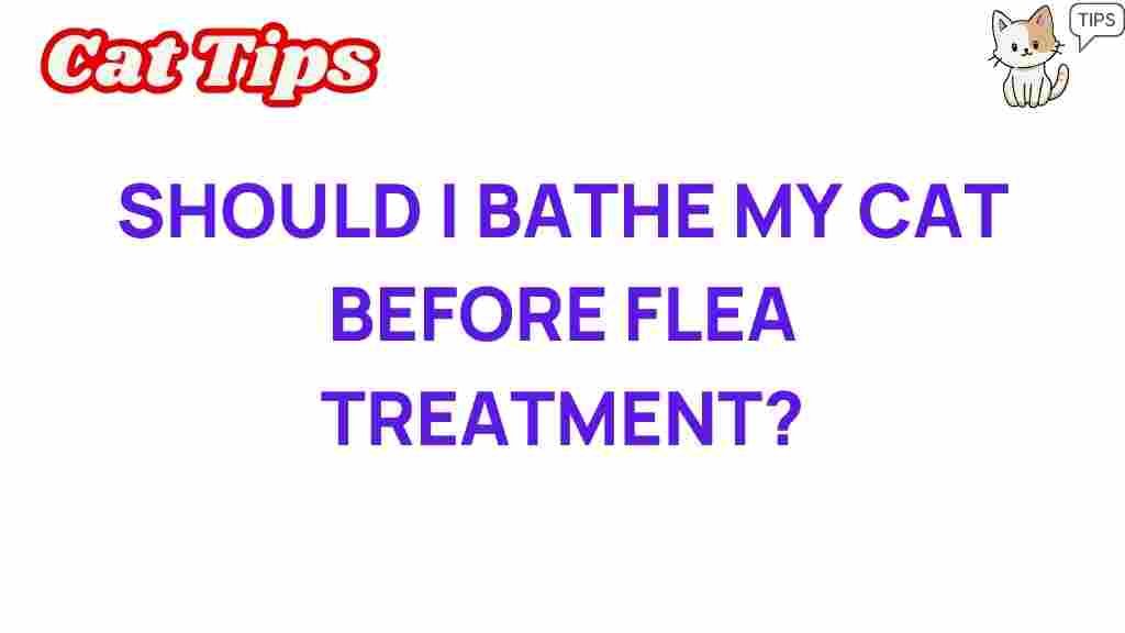 should-i-bathe-my-cat-before-flea-treatment