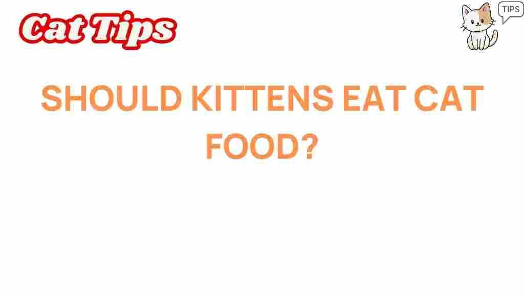 should-kittens-eat-cat-food