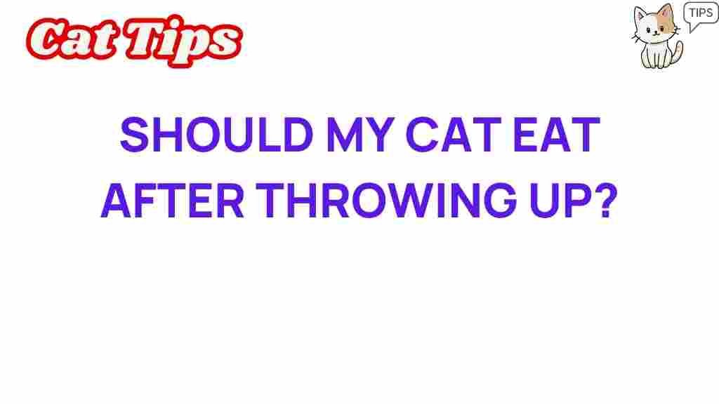 should-your-cat-eat-after-vomiting