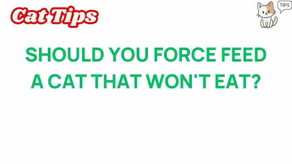 force-feeding-cat-nutrition
