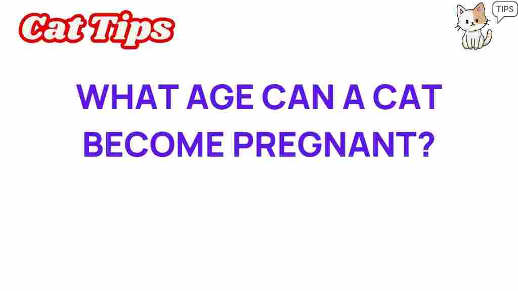 cat-pregnancy-age