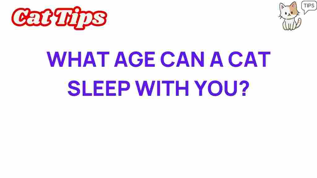 ideal-age-cats-sleep-with-you