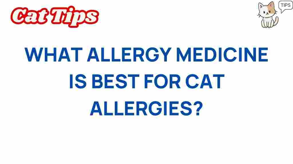 allergy-medicine-cat-allergies