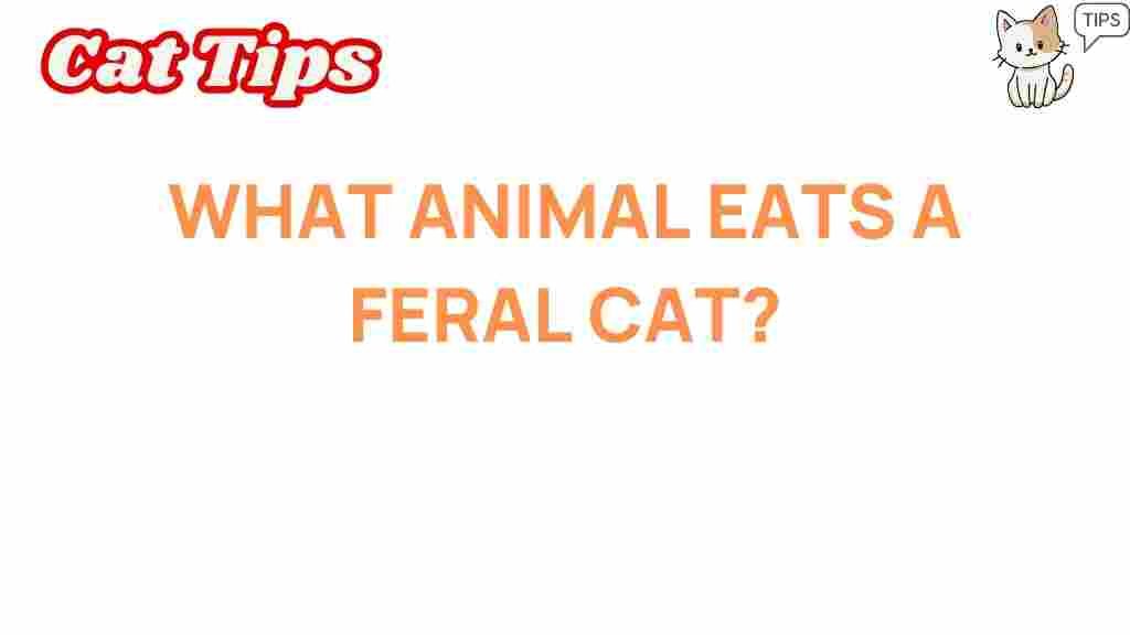 feral-cats-diet