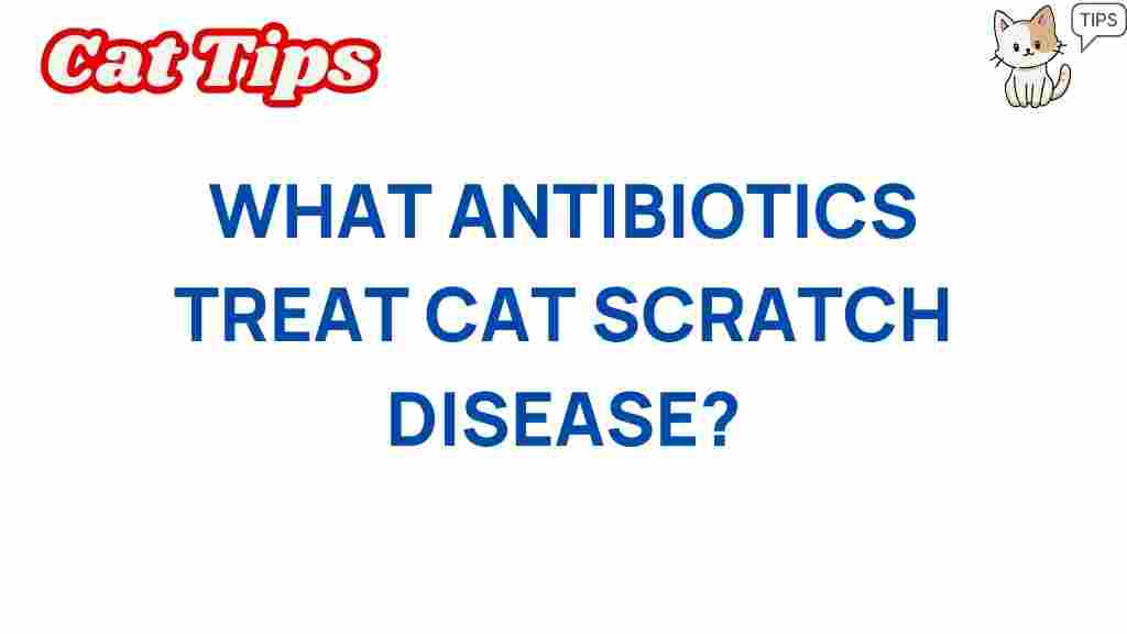 cat-scratch-disease-antibiotics