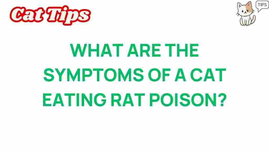 cat-rat-poison-symptoms