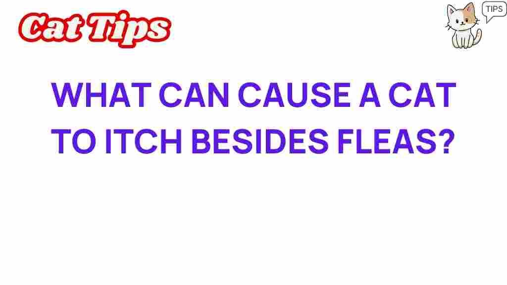 cat-itching-causes-beyond-fleas