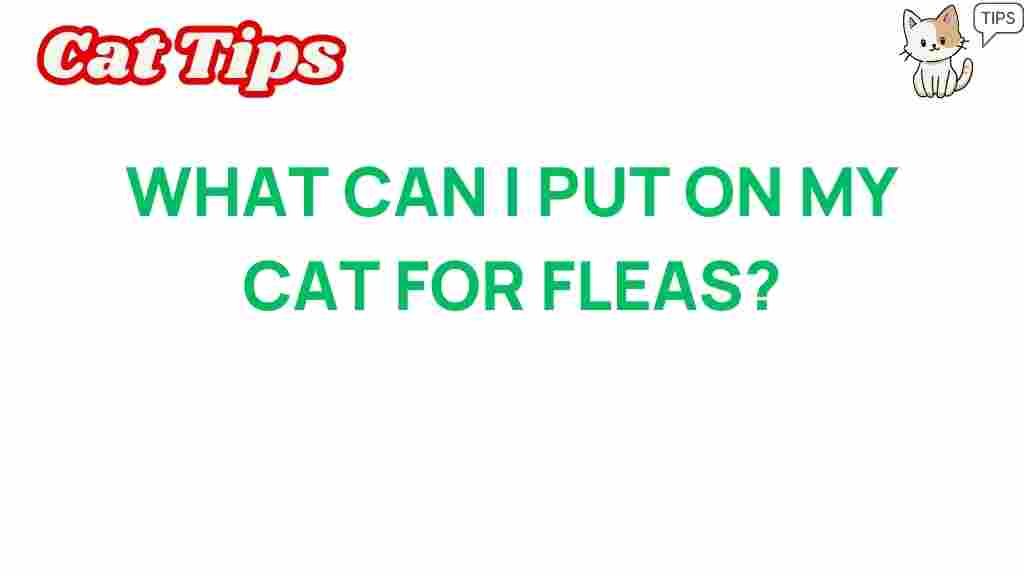 cat-fleas-solutions