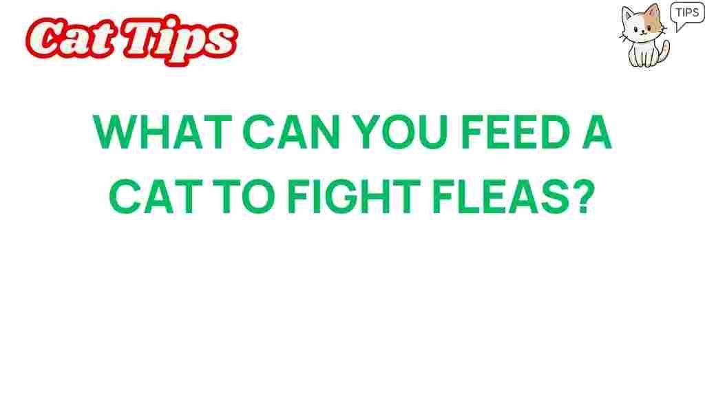 uncovering-flea-prevention-in-cats