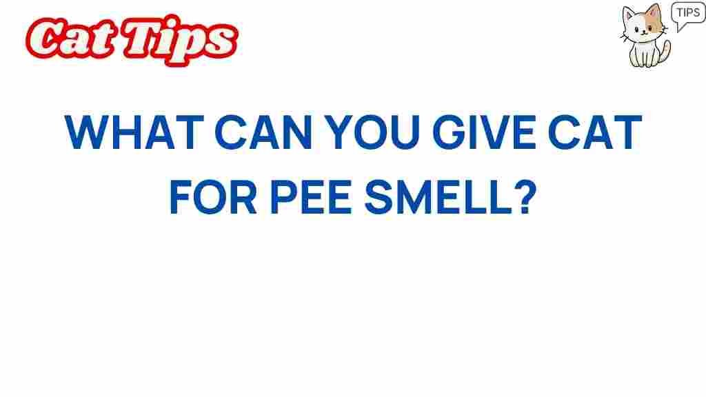 cat-pee-smell-solutions