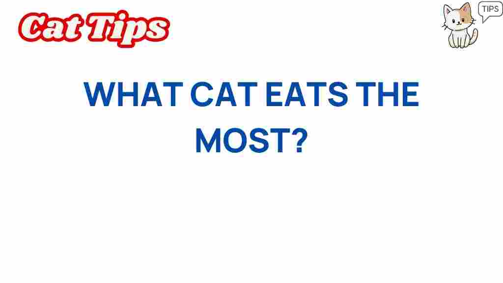 what-cat-eats-the-most