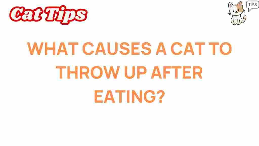 cat-vomiting-after-eating