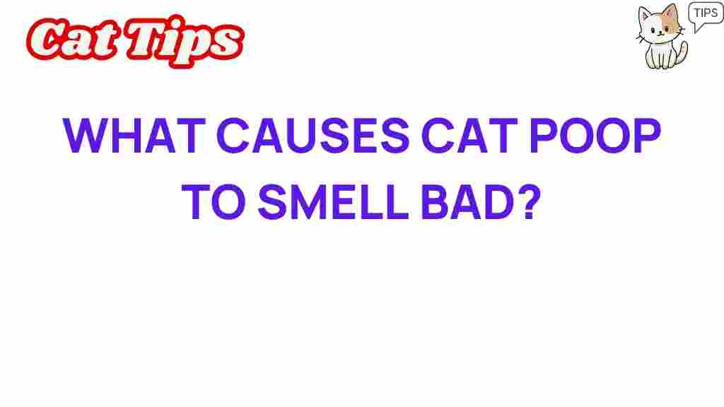 cat-health-poop-smell