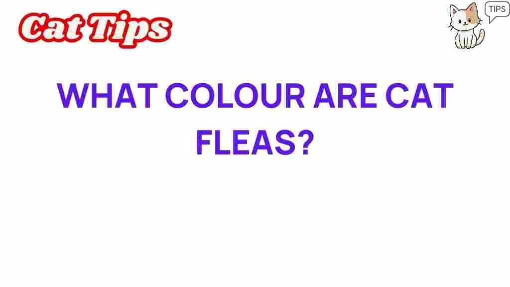 cat-fleas-color