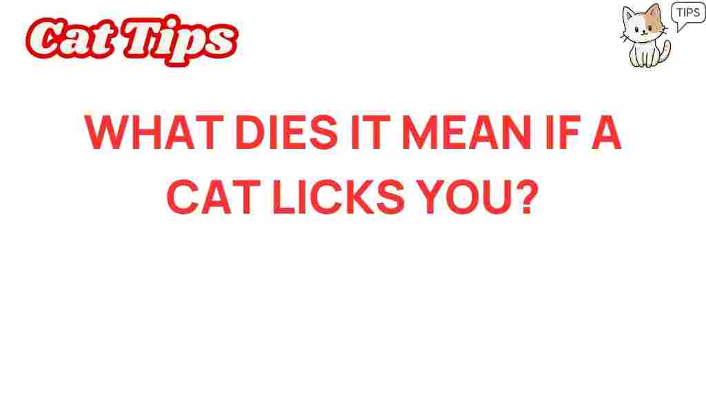 cat-licking-meaning