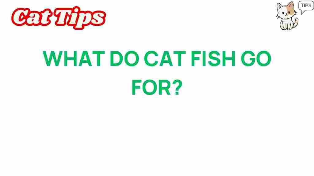 catfish-bite-attraction