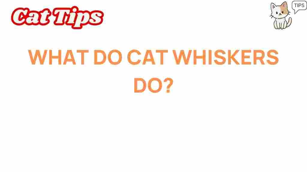 cat-whiskers-secrets