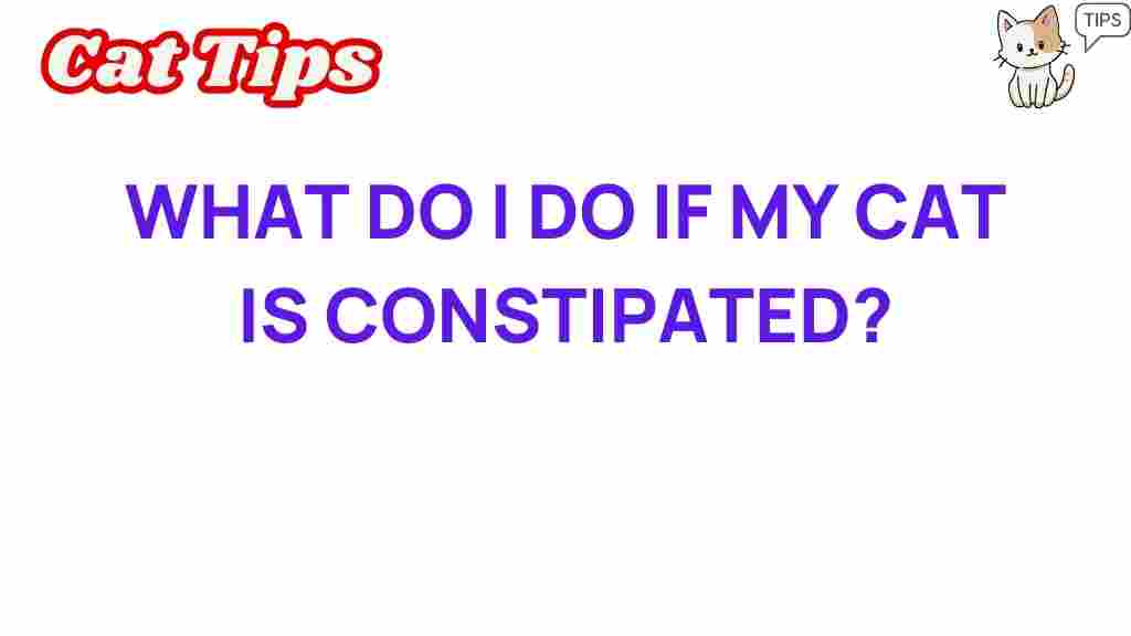 cat-constipation-tips