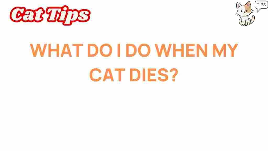 cat-loss-guidance