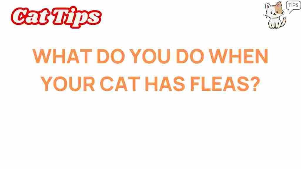 cat-flea-treatment-guide