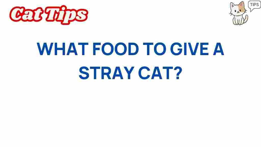 what-food-to-give-a-stray-cat