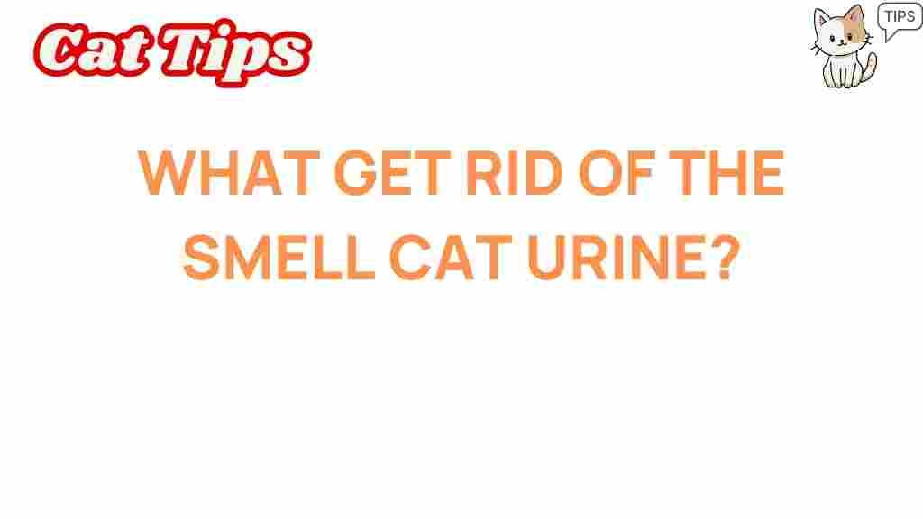 cat-urine-odor-removal