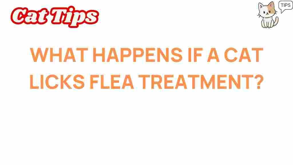 cat-licks-flea-treatment