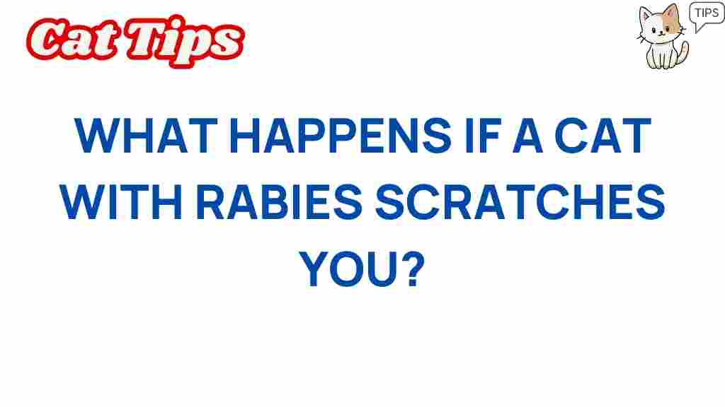 rabies-cat-scratch