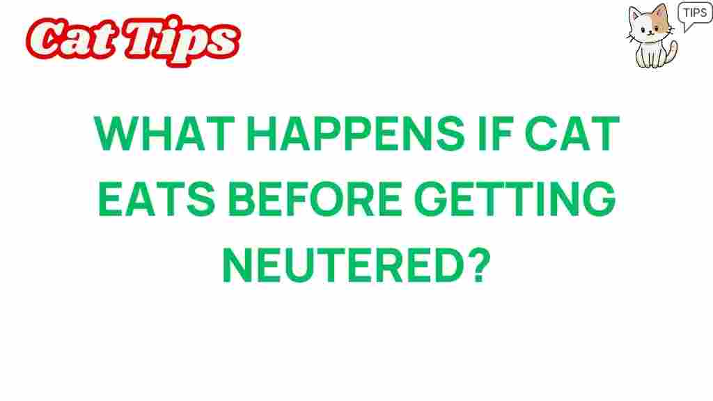 cat-neutering-feeding