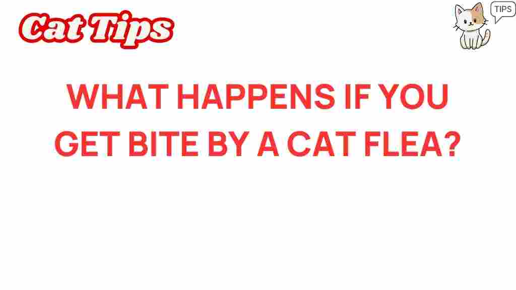 cat-flea-bites-health