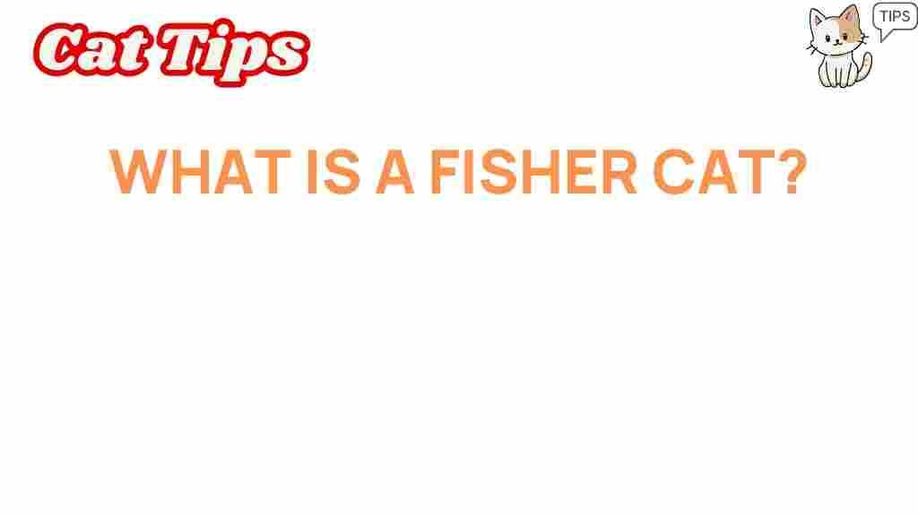 fisher-cat-mystery