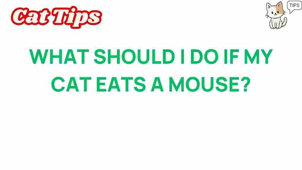 what-to-do-if-my-cat-eats-a-mouse