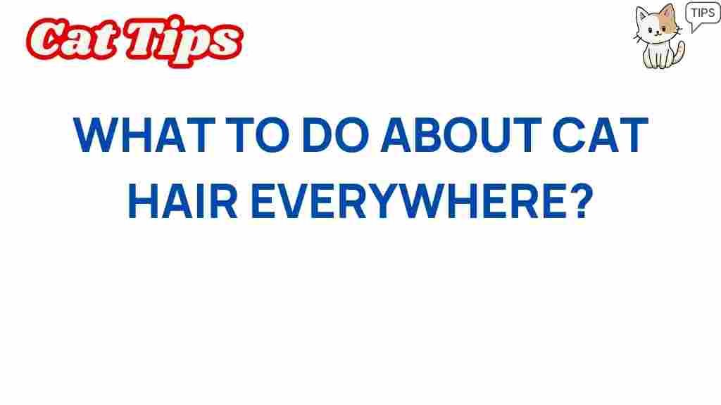 cat-hair-solutions