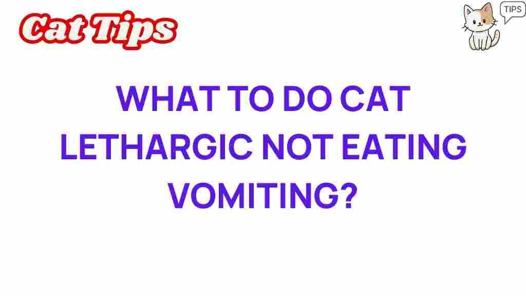 cat-health-lethargic-not-eating-vomiting