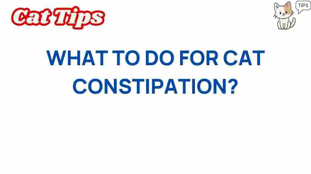 cat-constipation-solutions