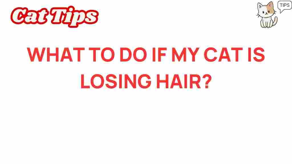 cat-hair-loss-reasons