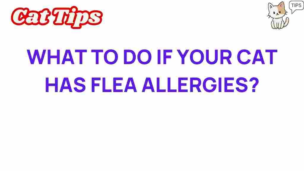 cat-flea-allergies-solutions