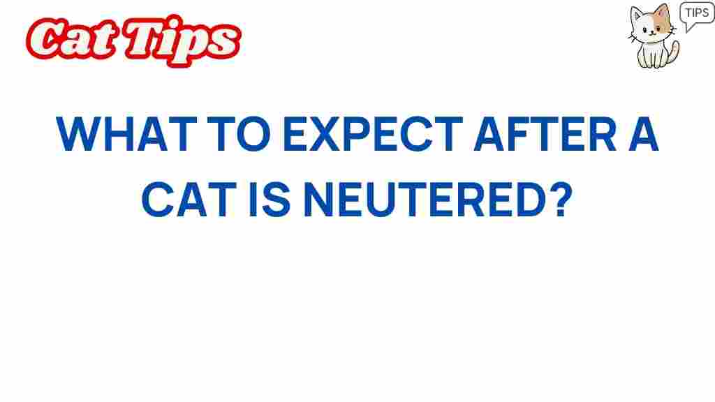 cat-neutering-guide