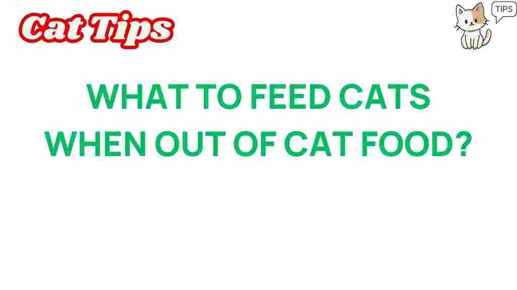 what-to-feed-cats-when-cat-food