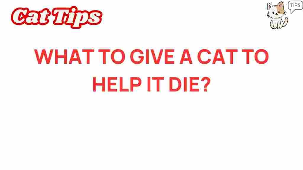 cat-euthanasia-help