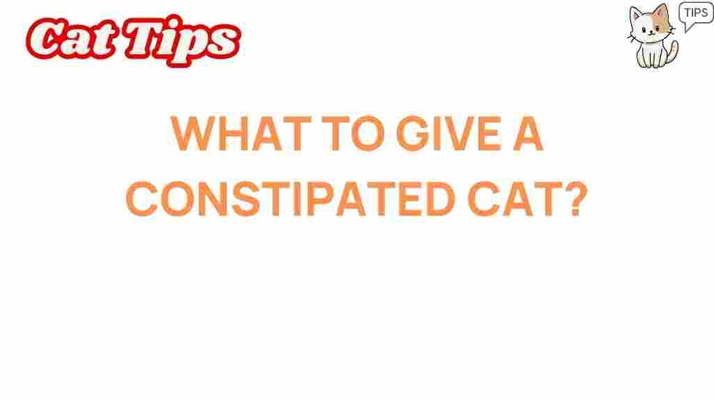 constipated-cat-remedies