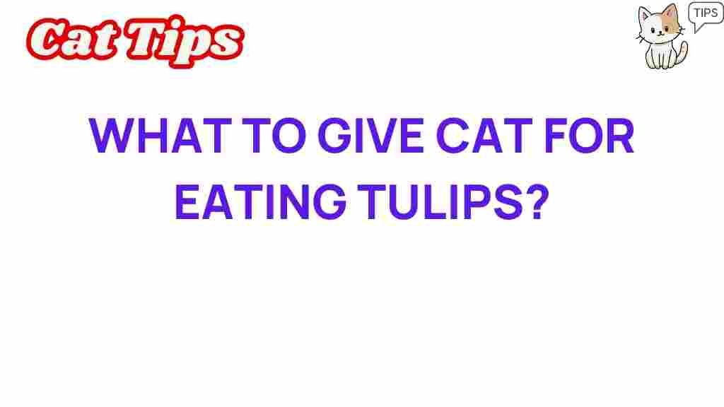 what-to-do-if-cat-eats-tulips