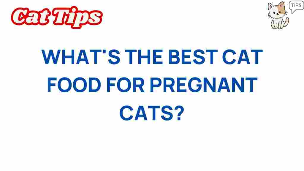 best-cat-food-pregnant-cats