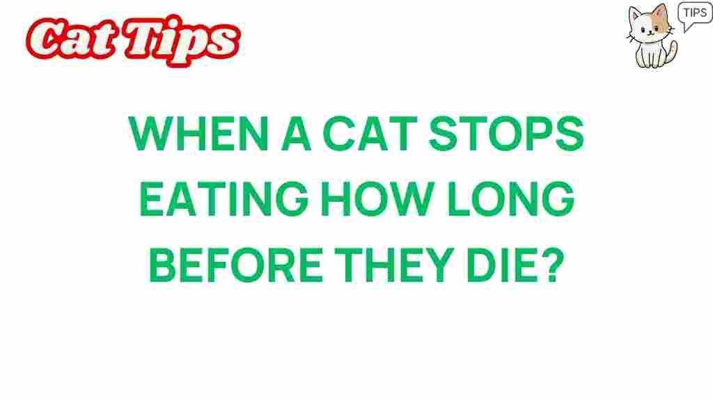 cat-health-stop-eating
