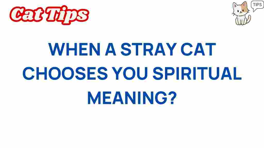 stray-cat-spiritual-meaning