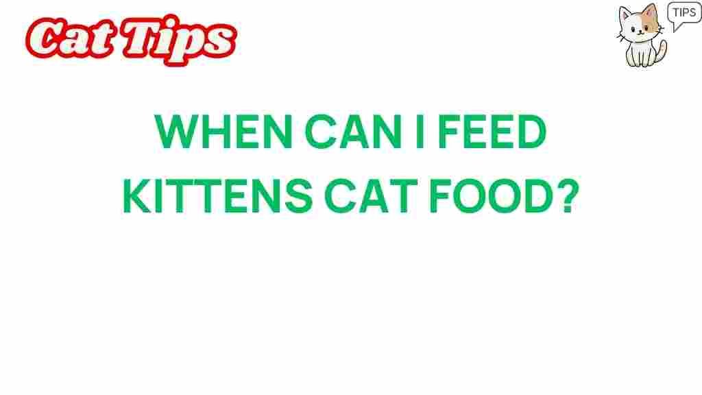 kitten-nutrition-transition-cat-food