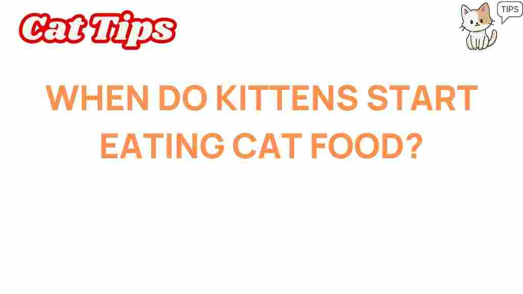 when-do-kittens-start-eating-cat-food