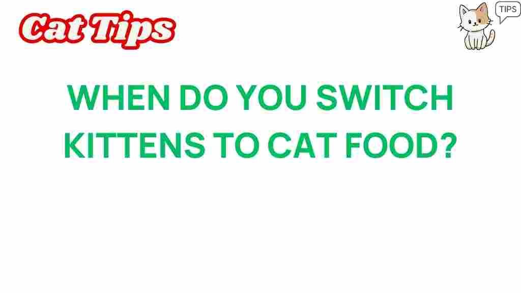 kittens-to-cat-food-transition